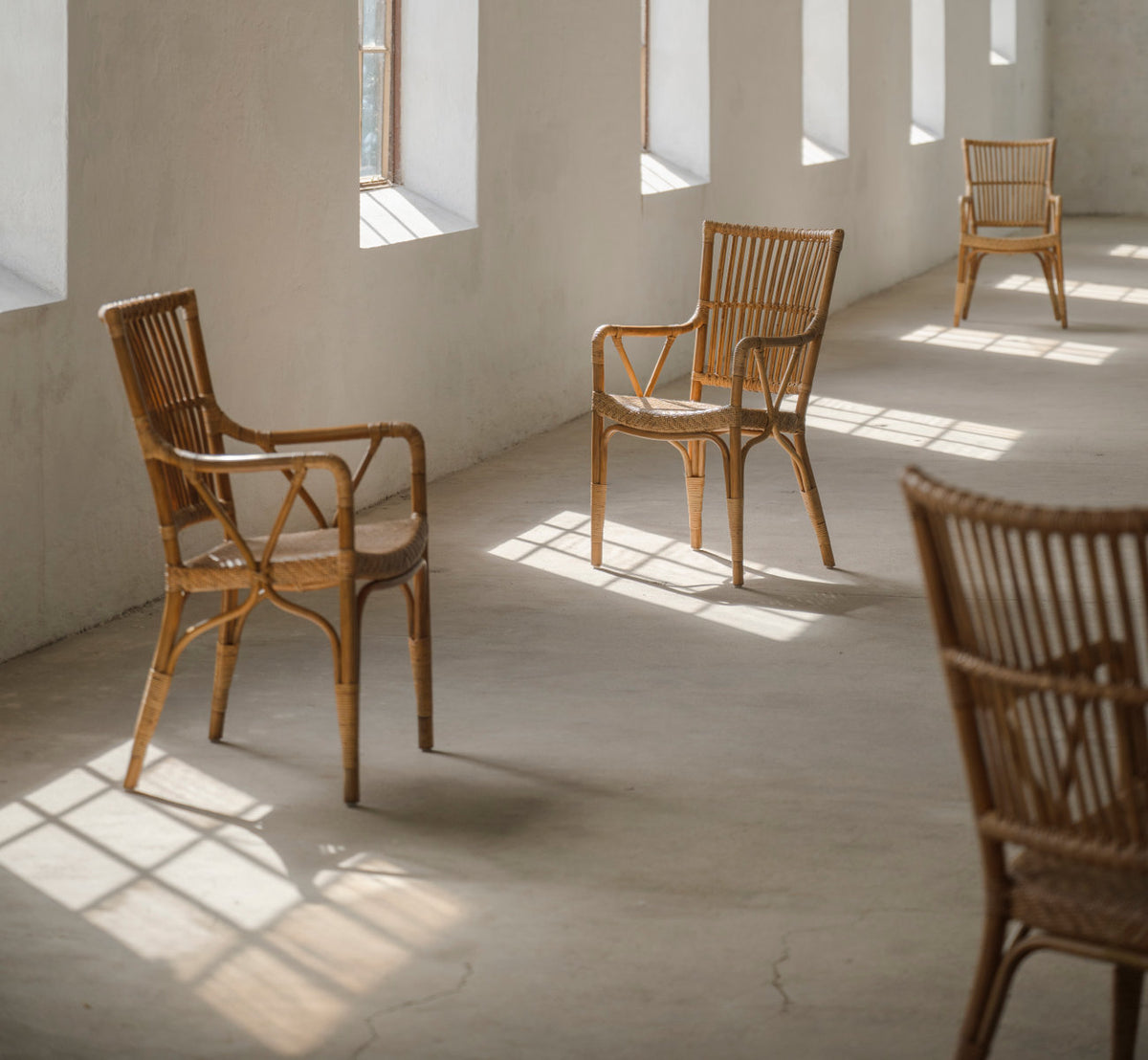 Dette er et livsstilsbillede af Piano Spisebordsstol i antique rattan. Stole i et solbeskinnet rum med betongulv.