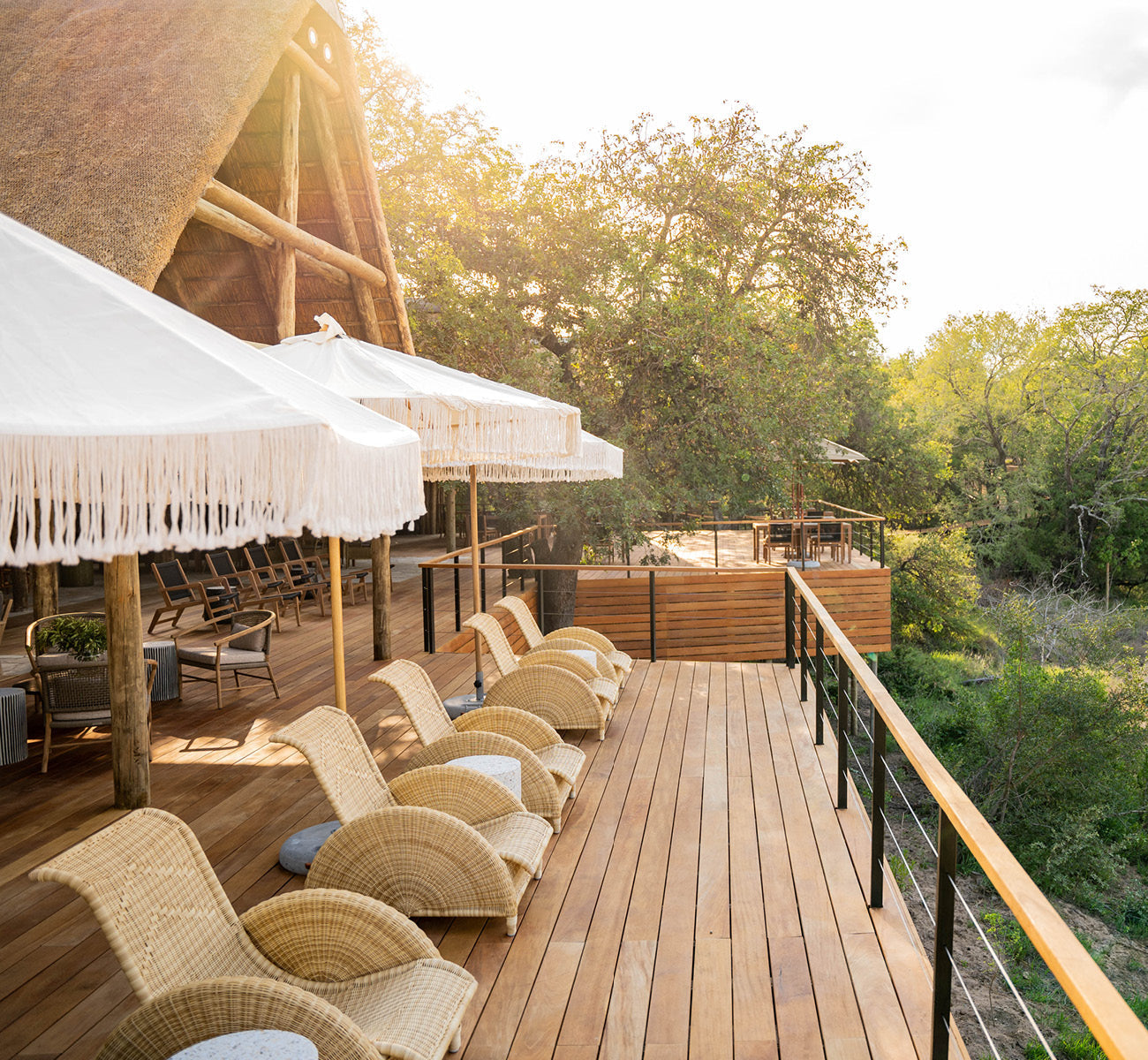 Thornybush Safari
