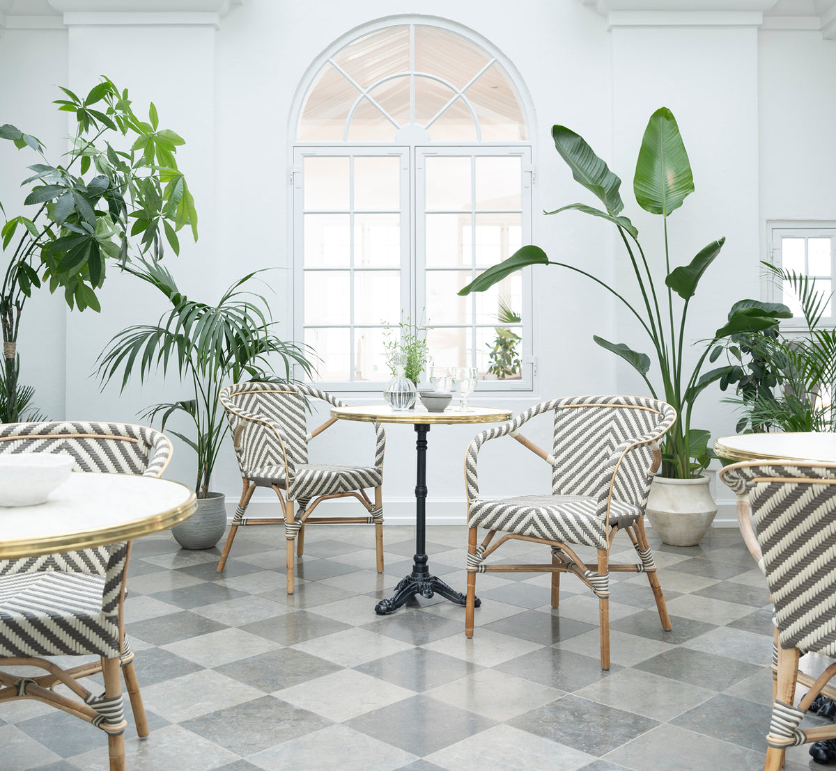 Dette er et livsstilsbillede af Madeleine Spisebordsstol i chevron cappuccino ivory ArtFibre skin on rattan frame. Lyst orangeri med planter.